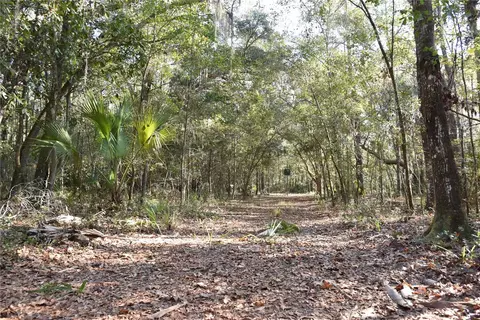 81 Clouds Ave, Interlachen, FL 32148 photo 39