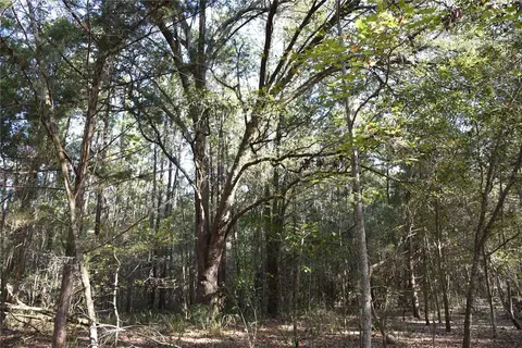 81 Clouds Ave, Interlachen, FL 32148 photo 14