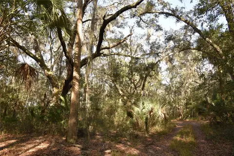 81 Clouds Ave, Interlachen, FL 32148 photo 6