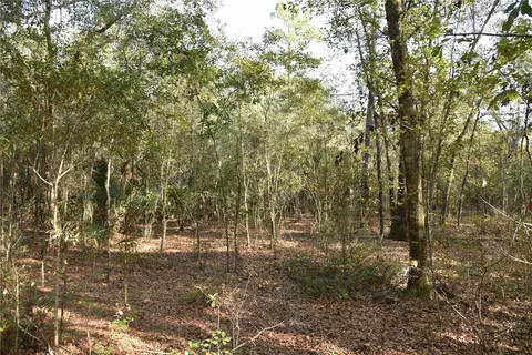 81 Clouds Ave, Interlachen, FL 32148 photo 44