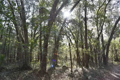 81 Clouds Ave, Interlachen, FL 32148 photo 49