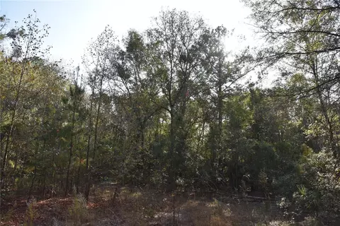 81 Clouds Ave, Interlachen, FL 32148 photo 47