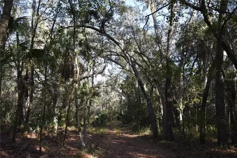 81 Clouds Ave, Interlachen, FL 32148 photo 7