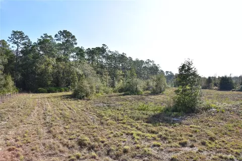 81 Clouds Ave, Interlachen, FL 32148 photo 36