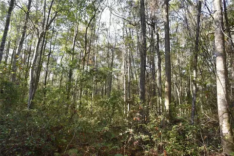 81 Clouds Ave, Interlachen, FL 32148 photo 55