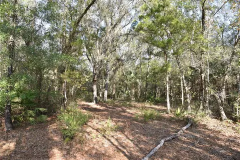 81 Clouds Ave, Interlachen, FL 32148 photo 27