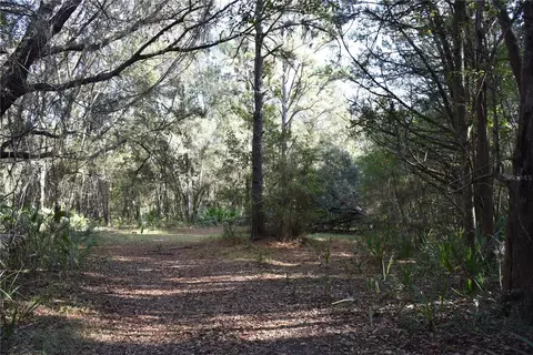 81 Clouds Ave, Interlachen, FL 32148 photo 48