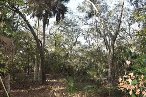 81 Clouds Ave, Interlachen, FL 32148 photo 40
