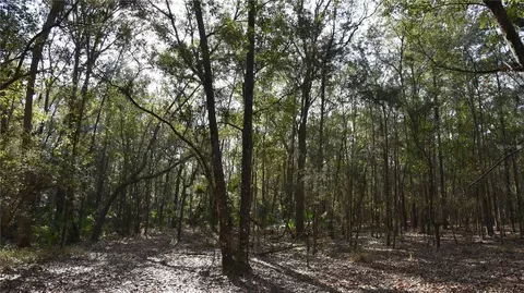 81 Clouds Ave, Interlachen, FL 32148 photo 53