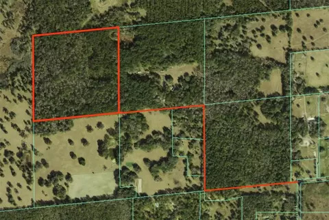 NW 115th Avenue, Reddick, FL 32686