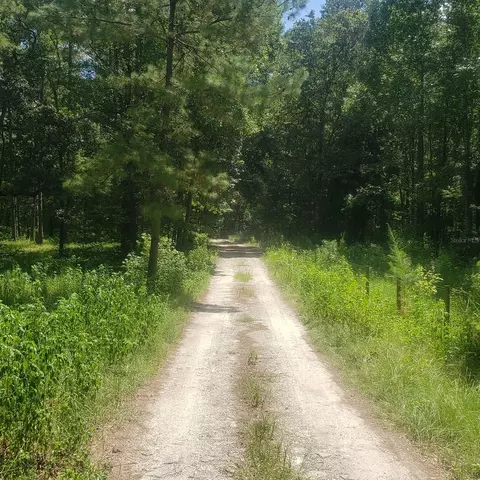 NW 115th Avenue, Reddick, FL 32686 photo 5