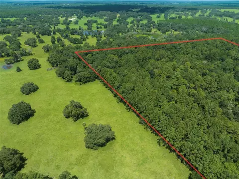 NW 115th Avenue, Reddick, FL 32686 photo 6