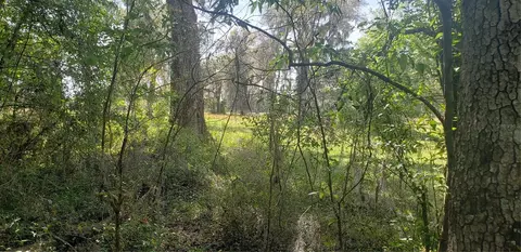 NW 115th Avenue, Reddick, FL 32686 photo 7
