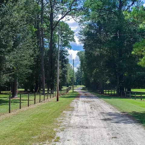 NW 115th Avenue, Reddick, FL 32686 photo 2