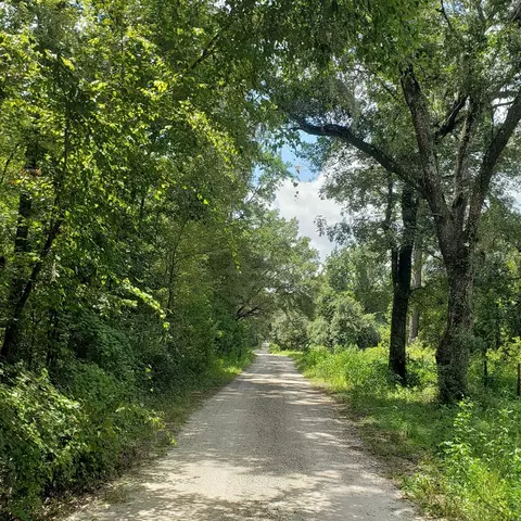 NW 115th Avenue, Reddick, FL 32686 photo 4