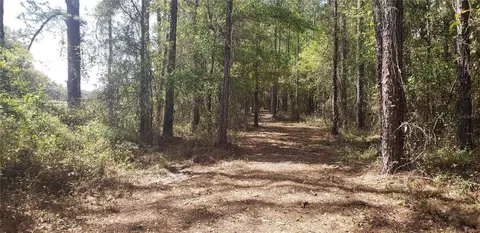 NW 115th Avenue, Reddick, FL 32686 photo 2