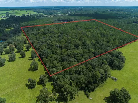 NW 115th Avenue, Reddick, FL 32686 photo 7