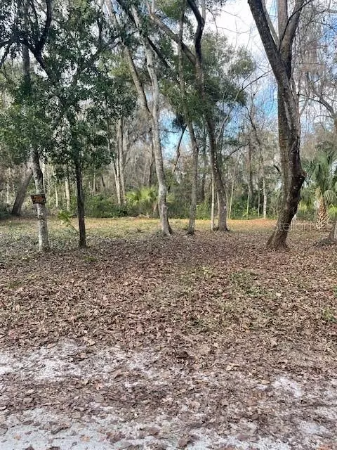 NE 164 Lane, Citra, FL 32113