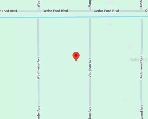 10435 Vaughan Ave, Hastings, FL 32145
