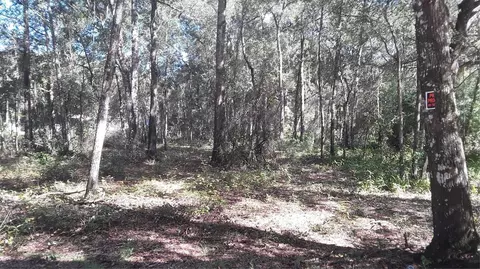 SW 202 Avenue, Dunnellon, FL 34431