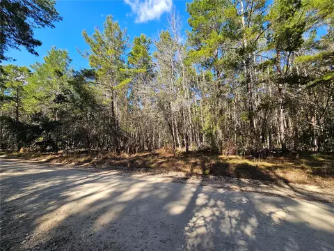 tbd SE 8th St, Williston, FL 32696 photo 7