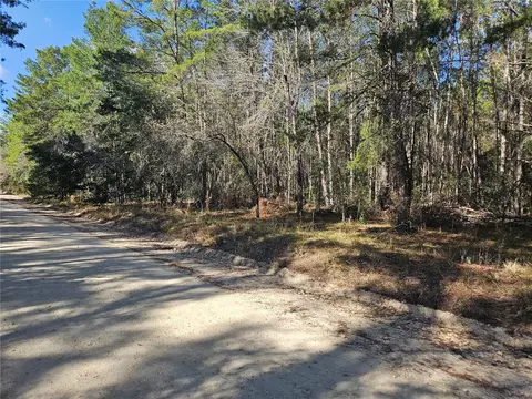 tbd SE 8th St, Williston, FL 32696 photo 5