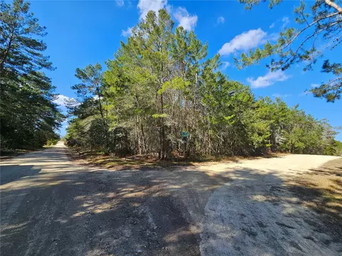 tbd SE 8th St, Williston, FL 32696 photo 2