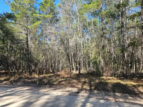 tbd SE 8th St, Williston, FL 32696 photo 6
