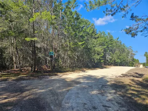 tbd SE 8th St, Williston, FL 32696 photo 3