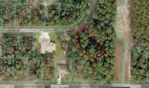 lot26 Guava Pass Dr, Ocklawaha, FL 32179