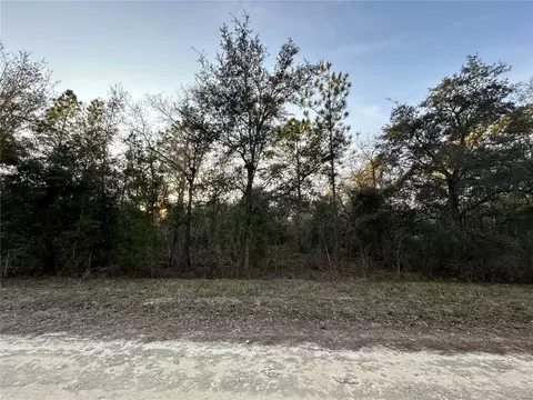 tbd NE 123rd Ter, Williston, FL 32696