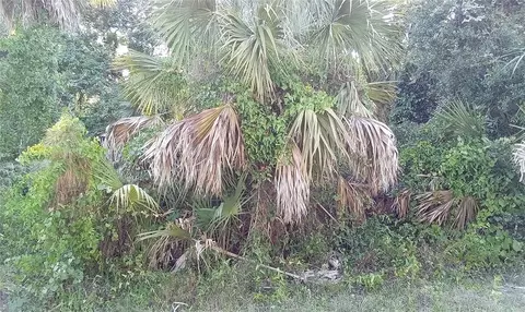 Blueberry Road, North Port, FL 34288