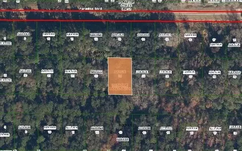 324 Edgewood Dr, Georgetown, FL 32139 photo 2