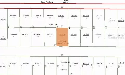 324 Edgewood Dr, Georgetown, FL 32139 photo 3