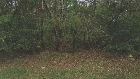 105 Rhode Island Ave, Satsuma, FL 32189