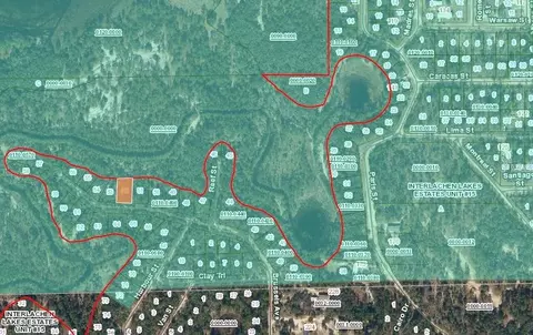 254 Brussels Ave, Interlachen, FL 32148 photo 2