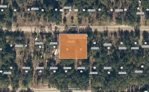 217 Cypress St, Interlachen, FL 32148 photo 2