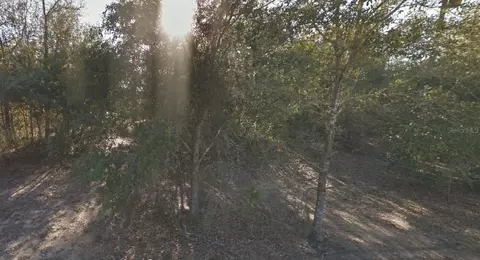 304 California Ave, Interlachen, FL 32148