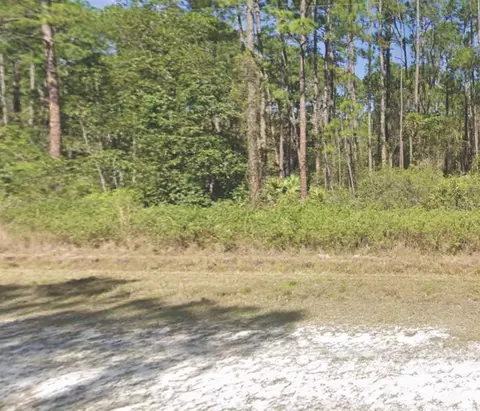 226 Terri Ave, Georgetown, FL 32139