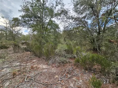 10350 NE 97th Pl, Archer, FL 32618