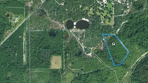 tbd NE 115th Lane Rd, Fort Mc Coy, FL 32134