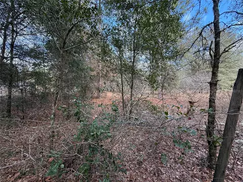 tbd NE 194th St, Citra, FL 32113
