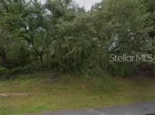 16593 SW 31st Cir, Ocala, FL 34473