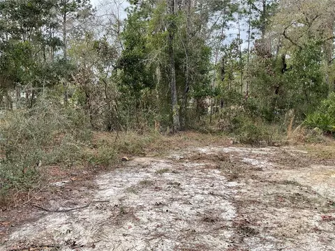 90 NE 132nd Ter, Williston, FL 32696 photo 10