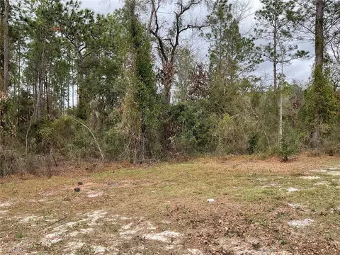 90 NE 132nd Ter, Williston, FL 32696 photo 11