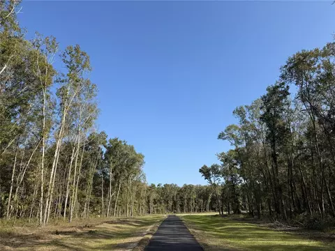 Irvine Acres #3 W Hwy 318, Reddick, FL 32686