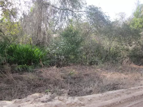 00 NE 239 Ln NE #LOT -A37, Fort Mc Coy, FL 32134