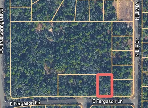 1409 E Fergason Ln, Dunnellon, FL 34434
