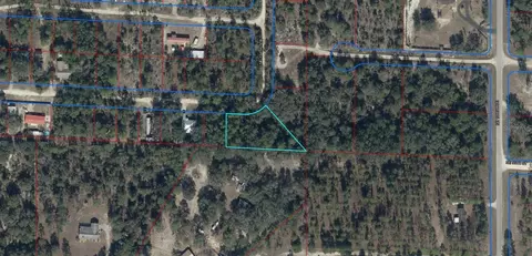 0 NE 50th Pl, Williston, FL 32696