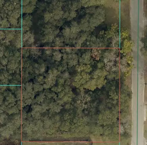 tbd SE 94 Ct, Summerfield, FL 34491